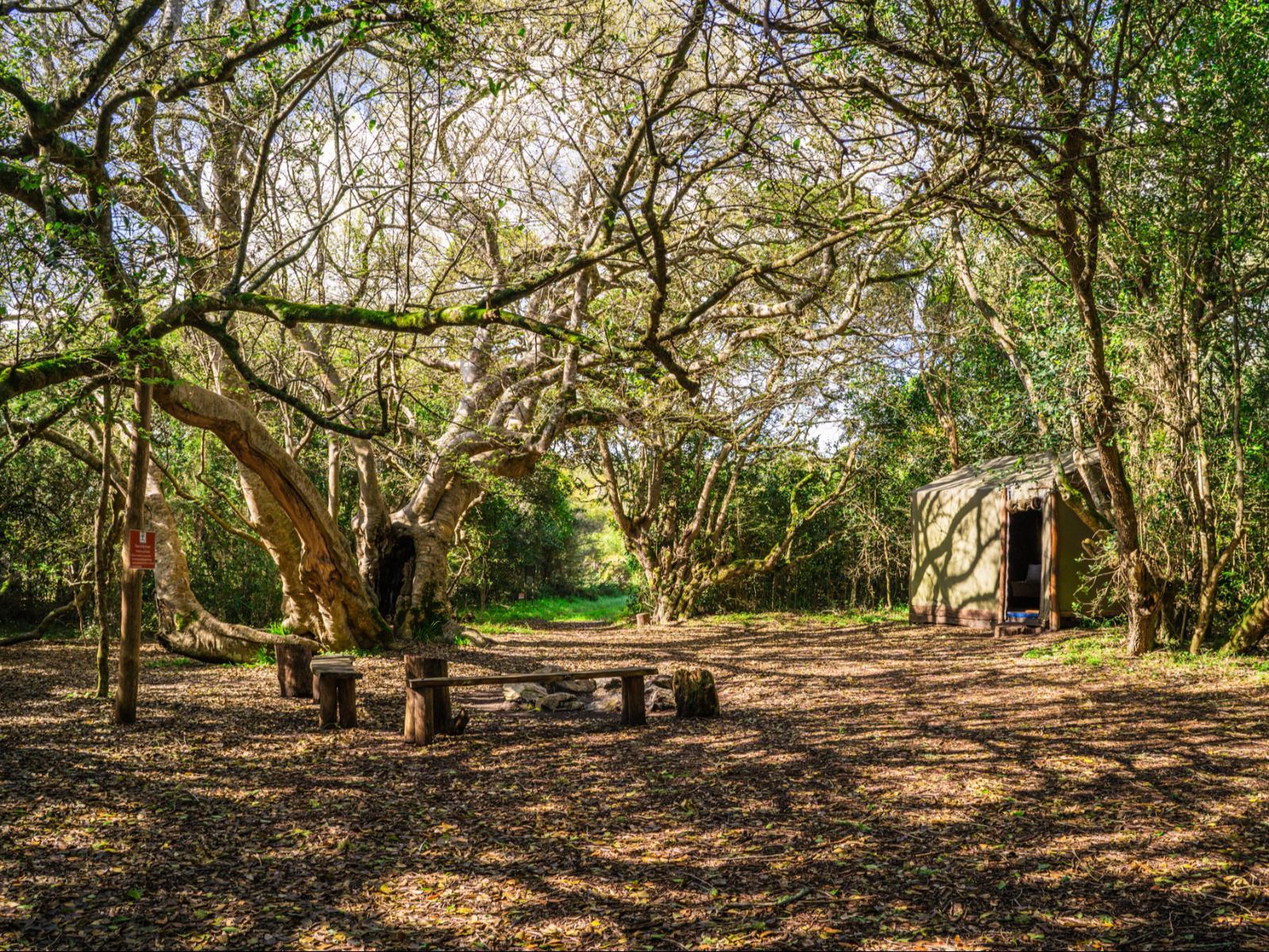 Platbos Forest Reserve