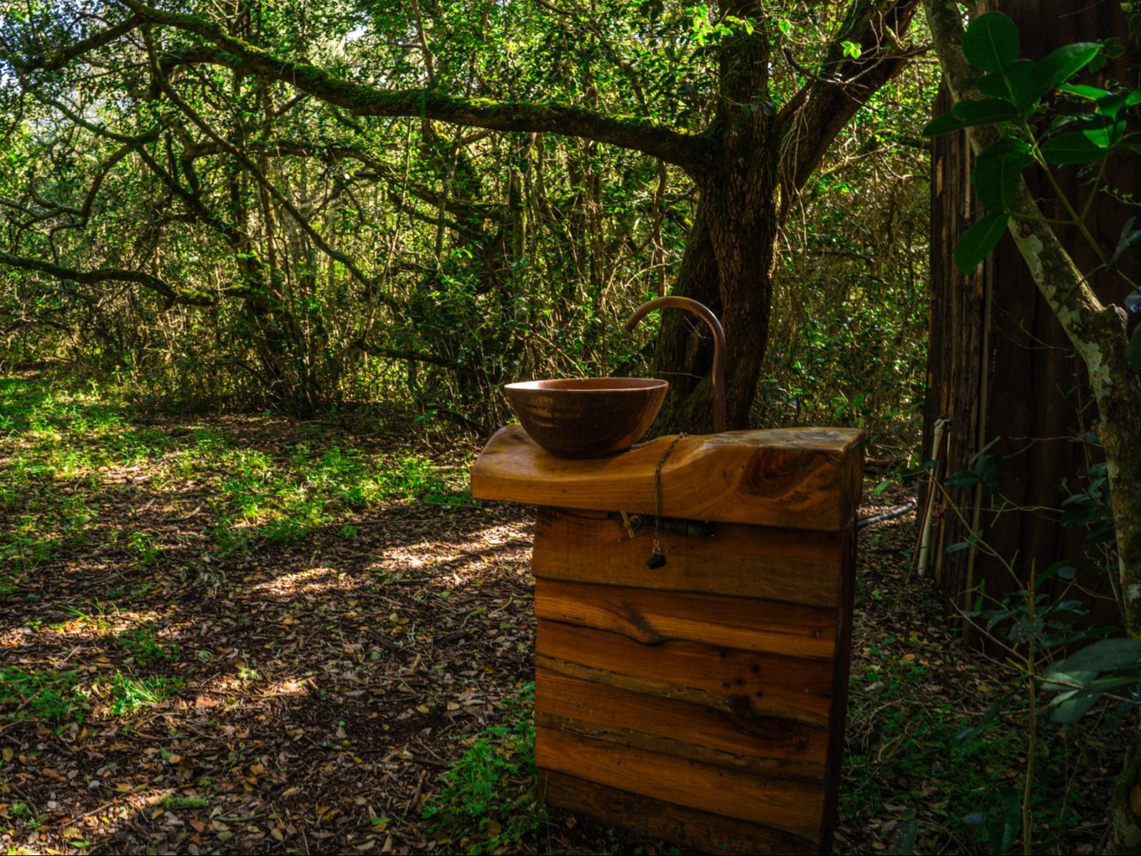 Platbos Forest Reserve
