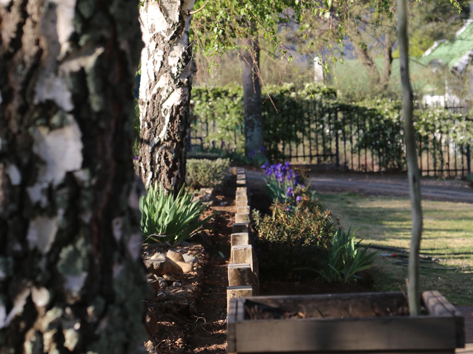 Mt Horeb Manor Affordable Deals Book SelfCatering or Bed and