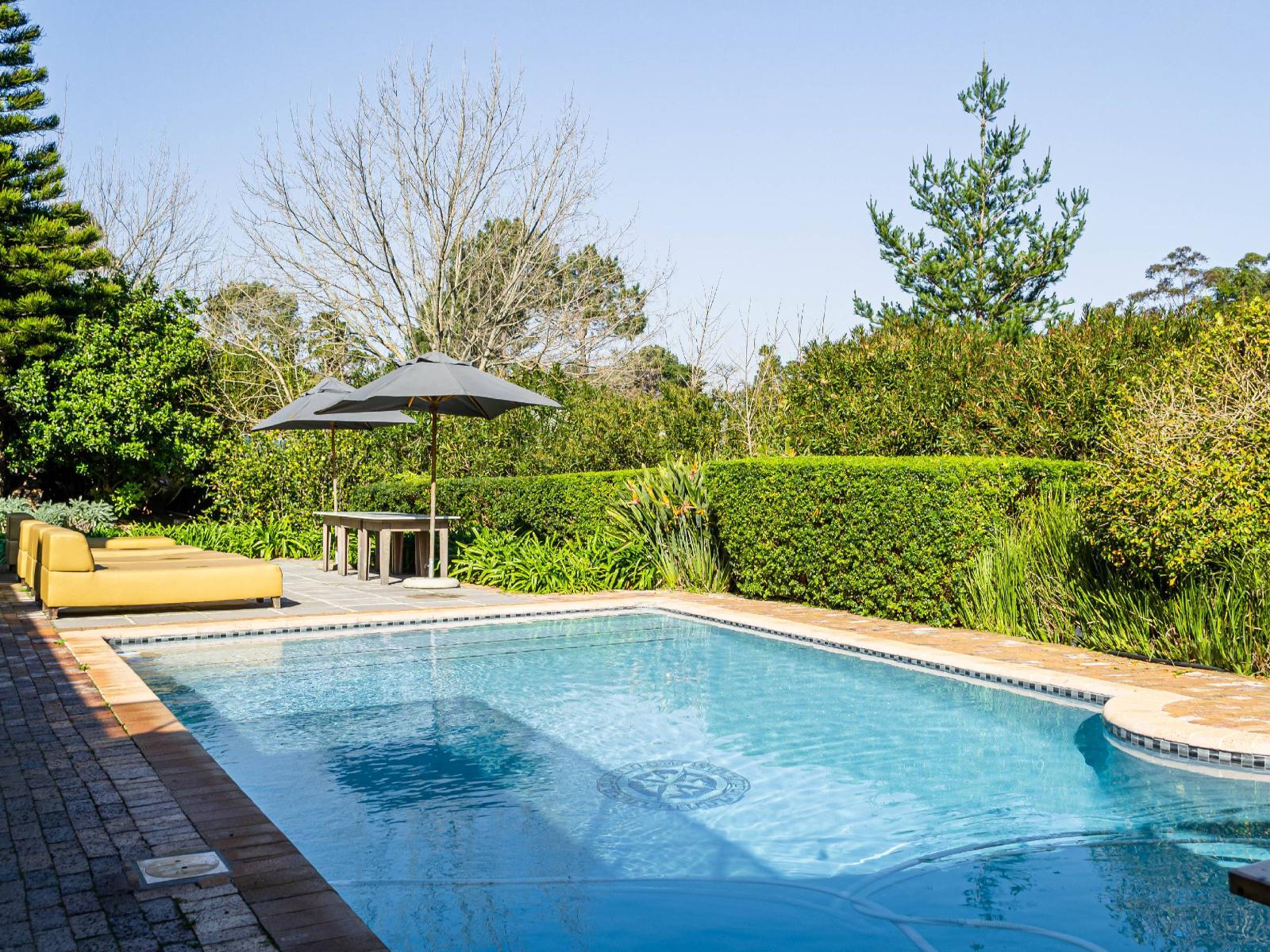 Silver Forest Boutique Hotel