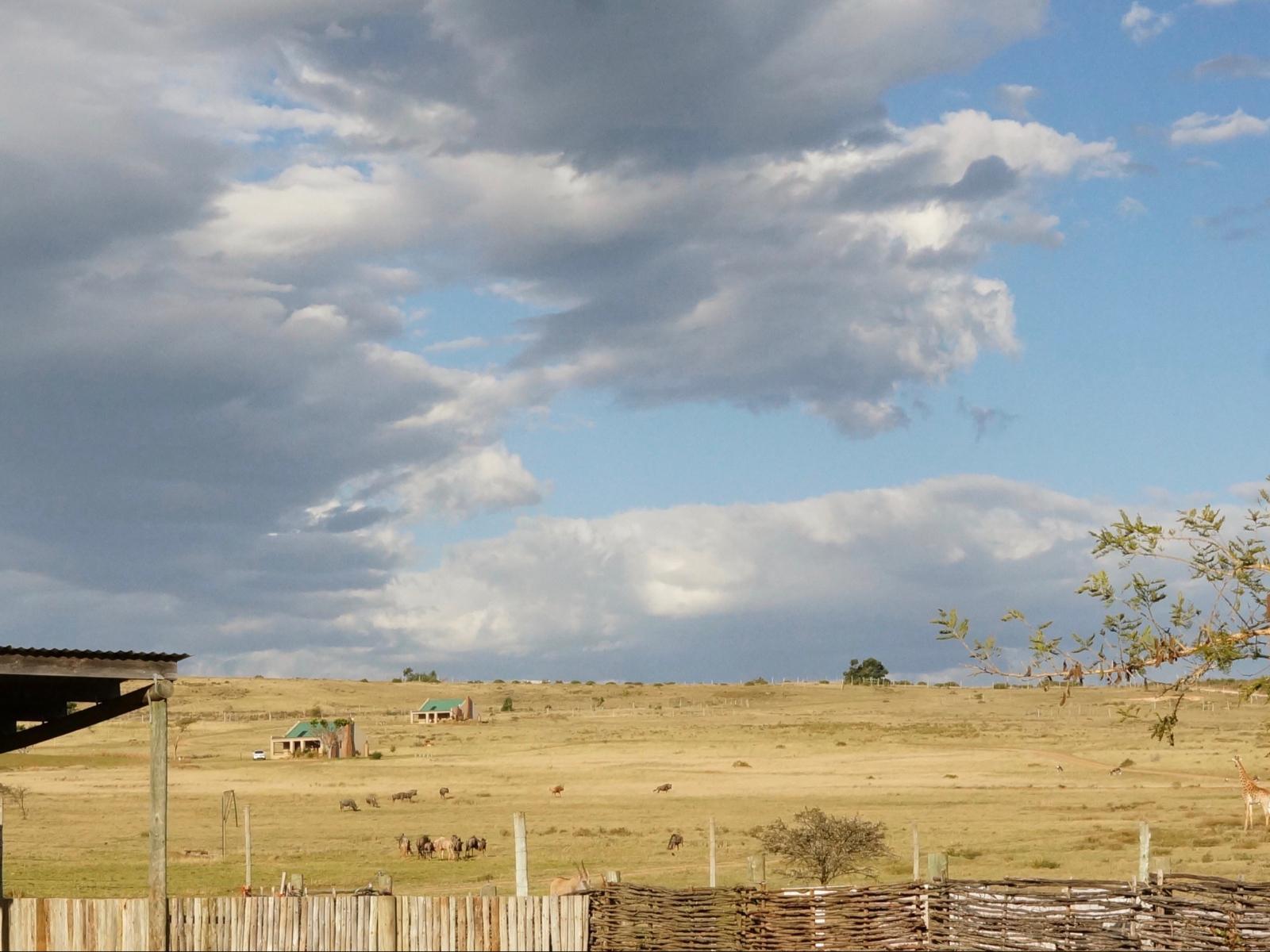 Kwetu Guest Farm