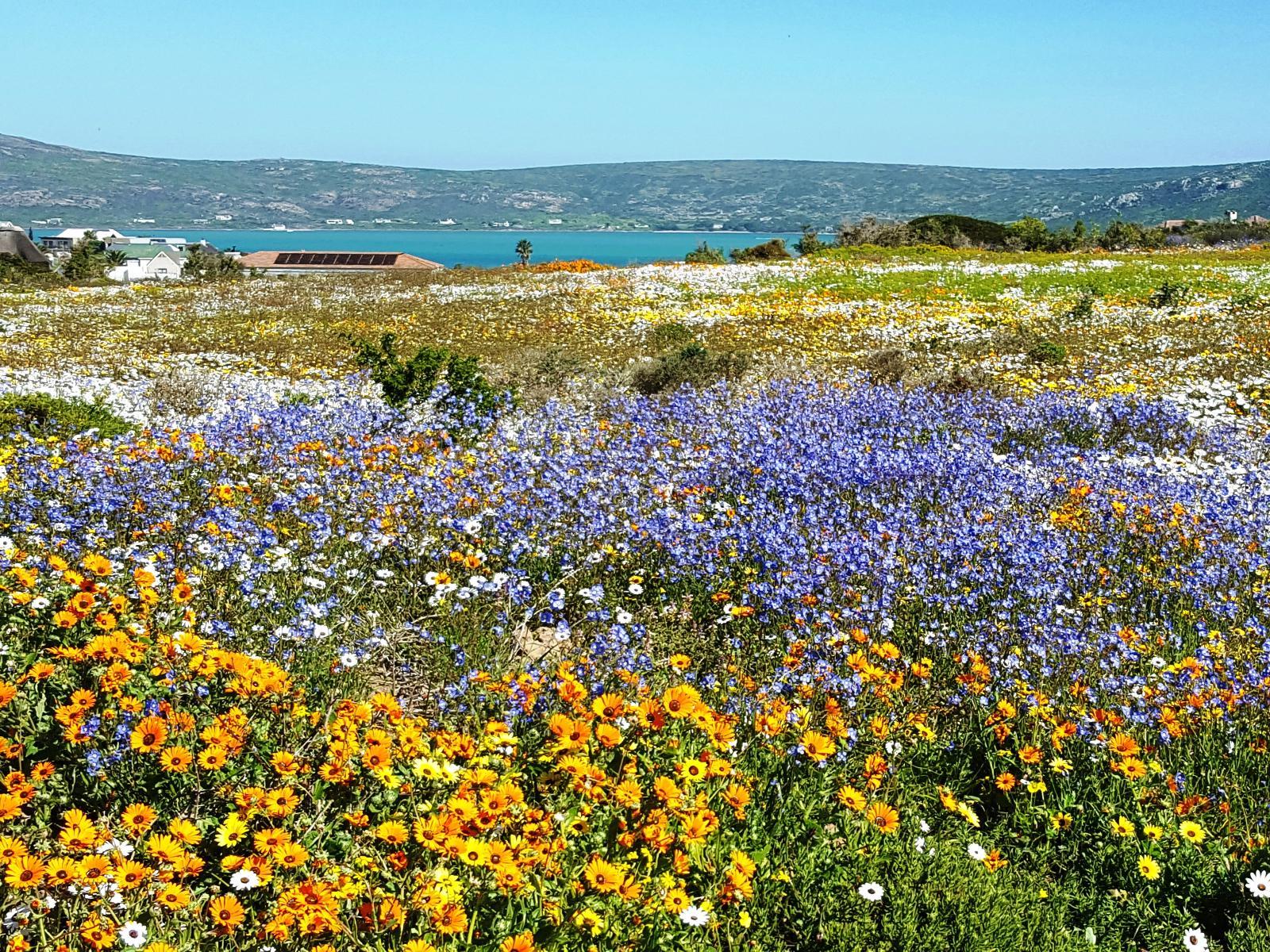 Langebaan Holiday Homes