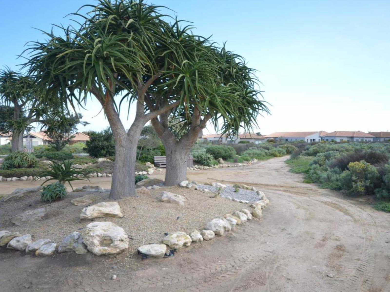 Langebaan Holiday Homes