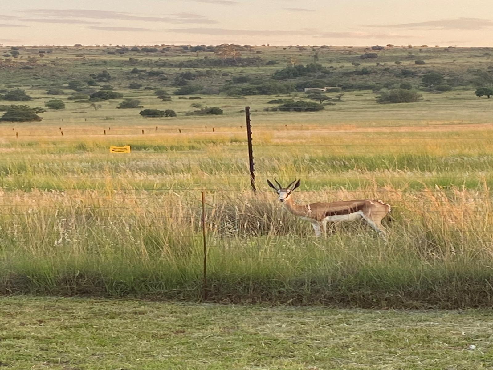 Sanctuary Life Guest Farm