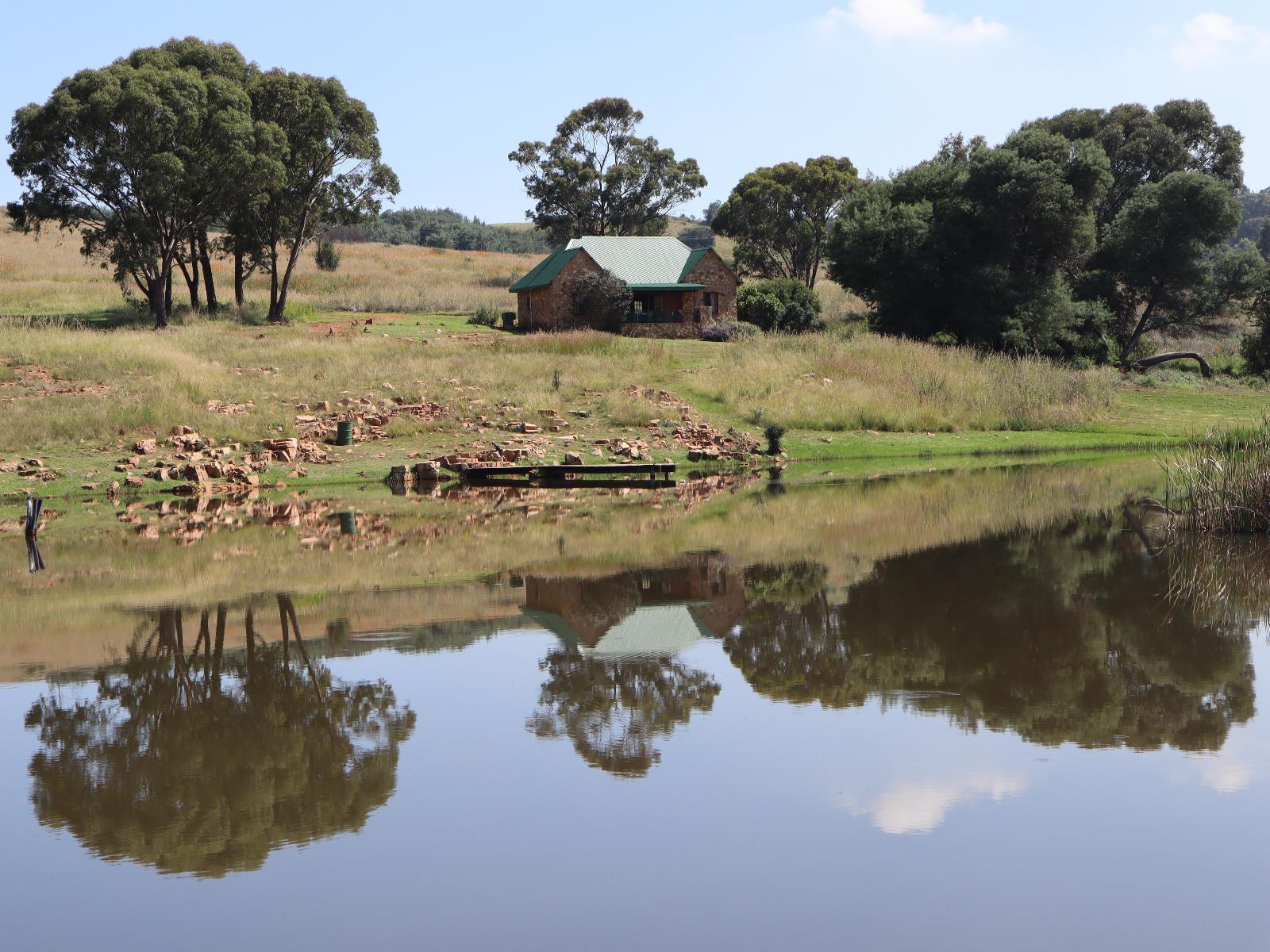 Field and Stream