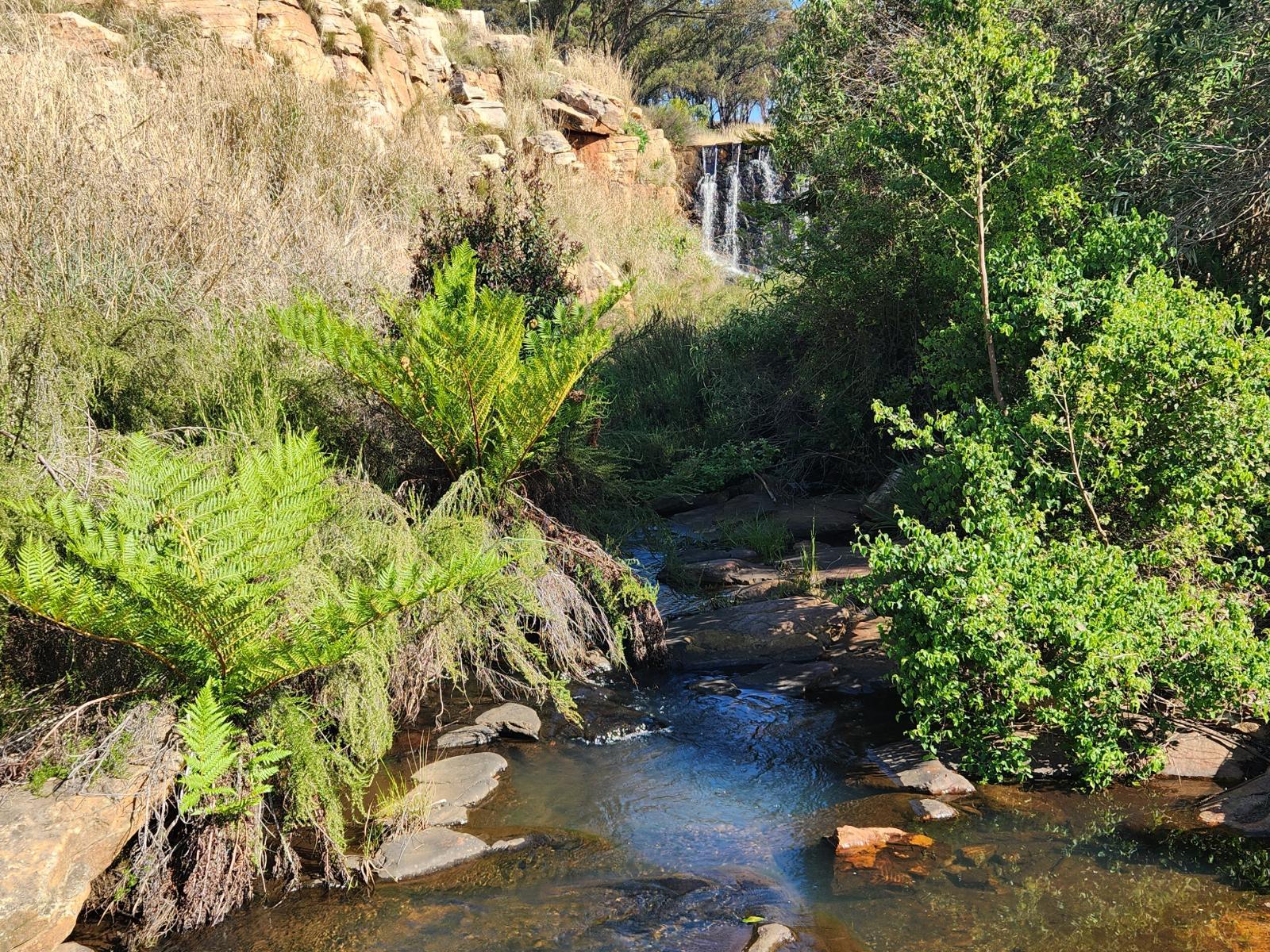 Field and Stream