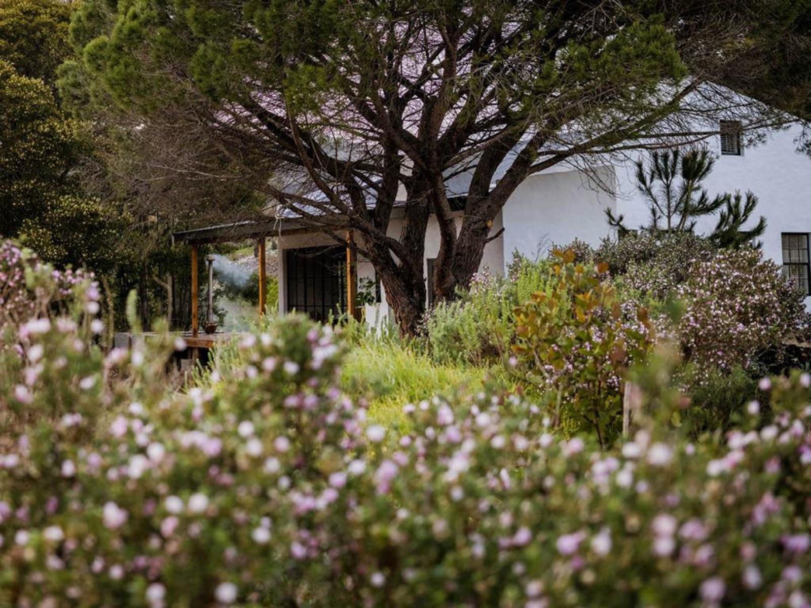 Stanford Valley Country Lodge