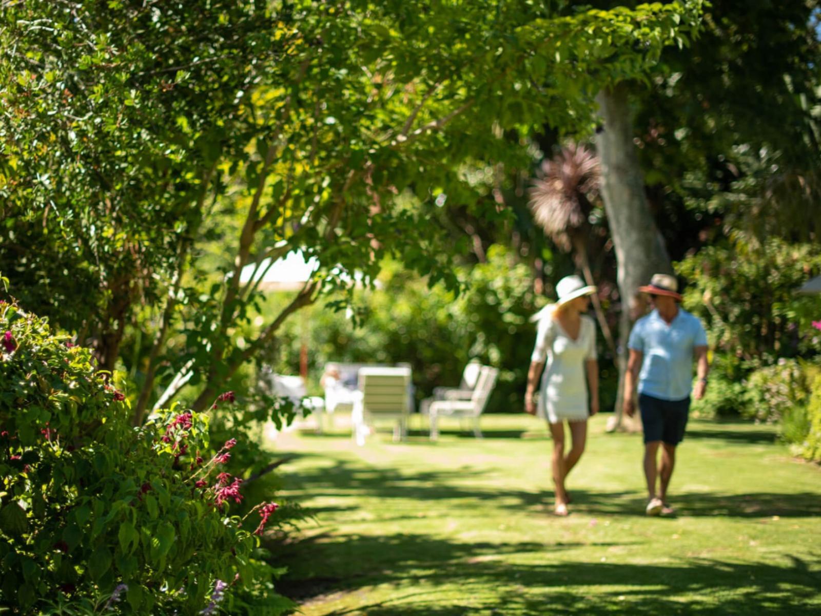 The Last Word Constantia