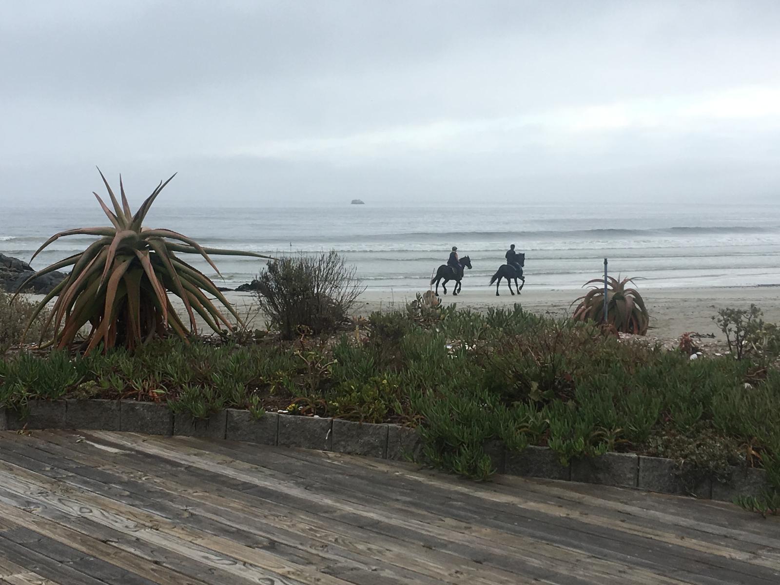 Beach Beach Houses, Paternoster