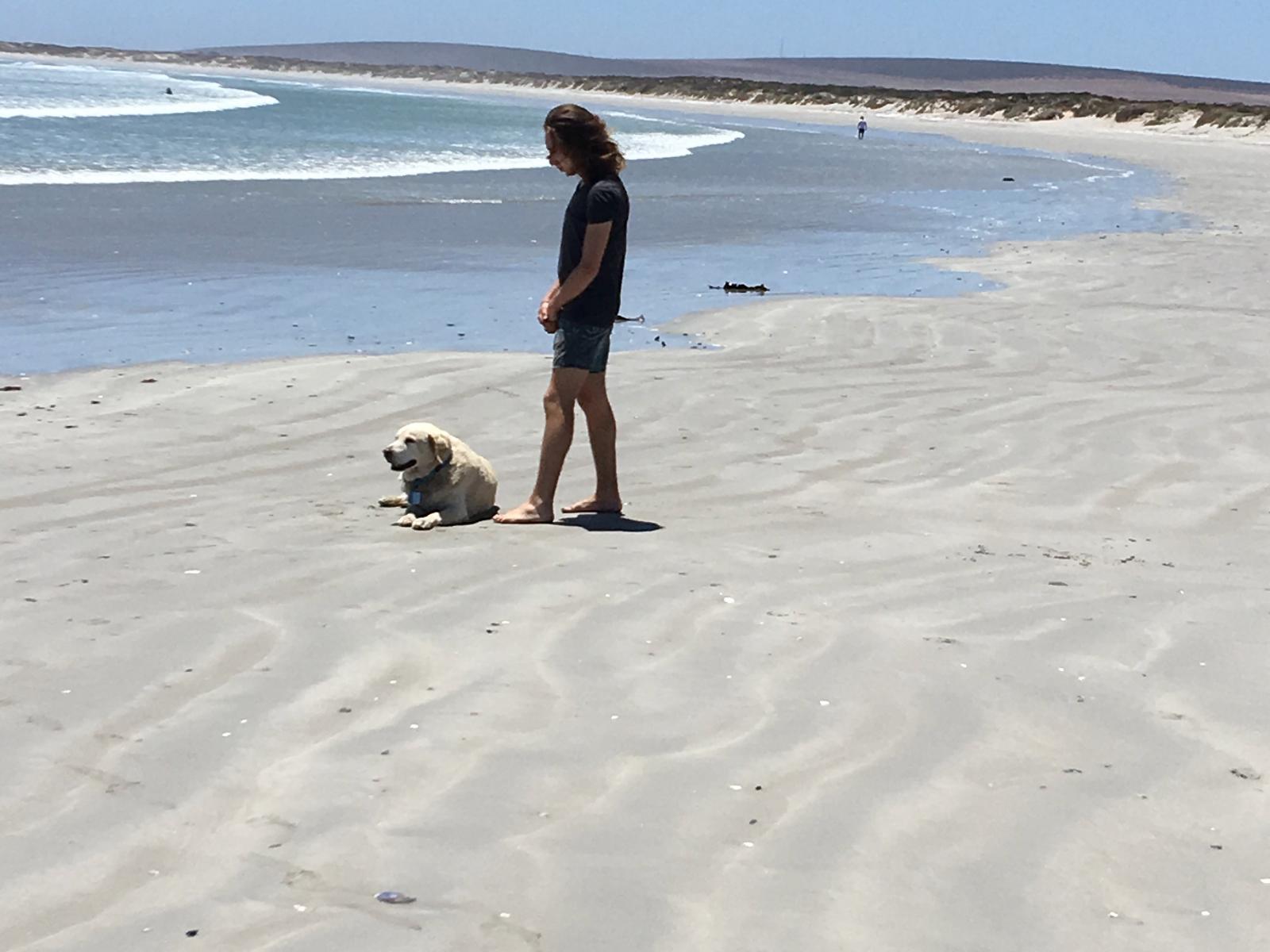 Beach Beach Houses, Paternoster