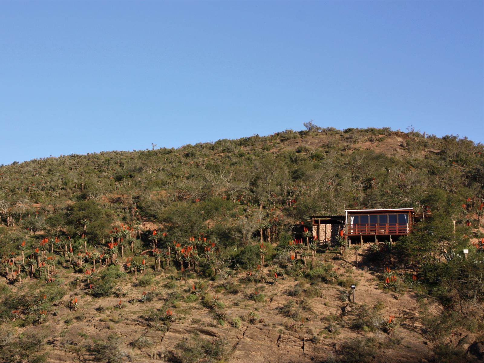 Gourits River Guest Farm