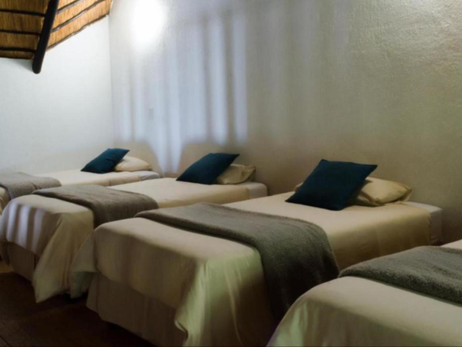 Roomtype 6: Bed Pensao Guest House