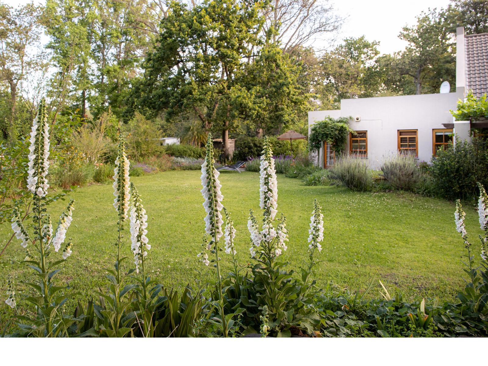 Languedoc Farm