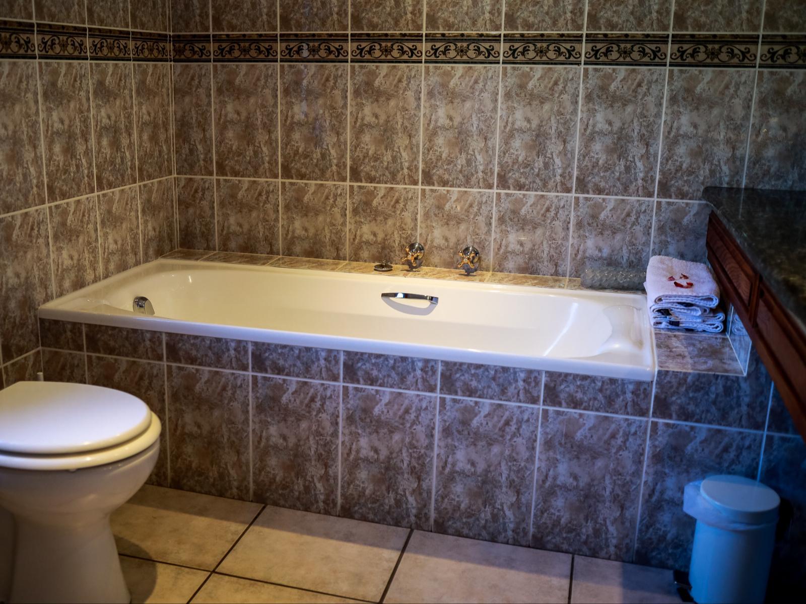 Roomtype 12: Bathroom Altes Landhaus Country Lodge