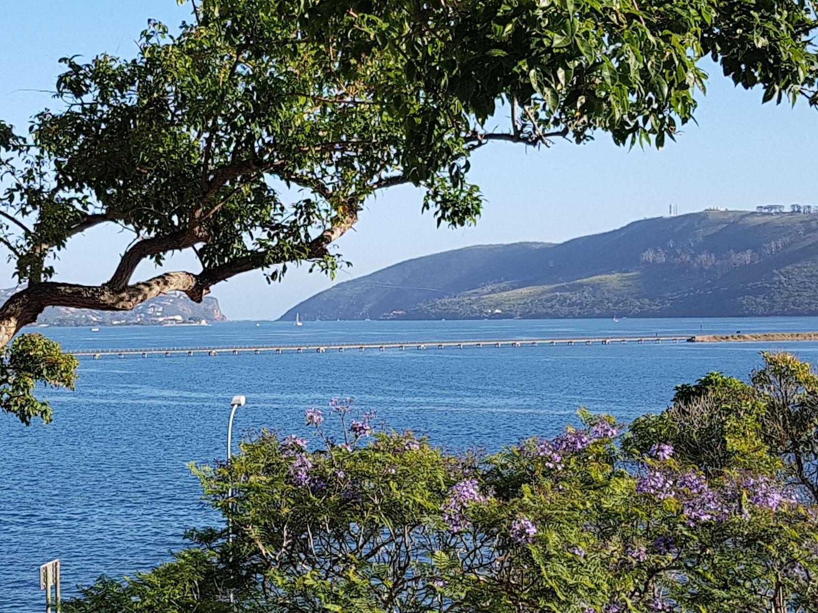 Phoenix Lodge and Waterside Accommodation