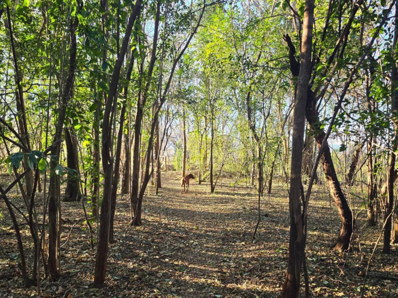 Imbabali Retreat & Venue
