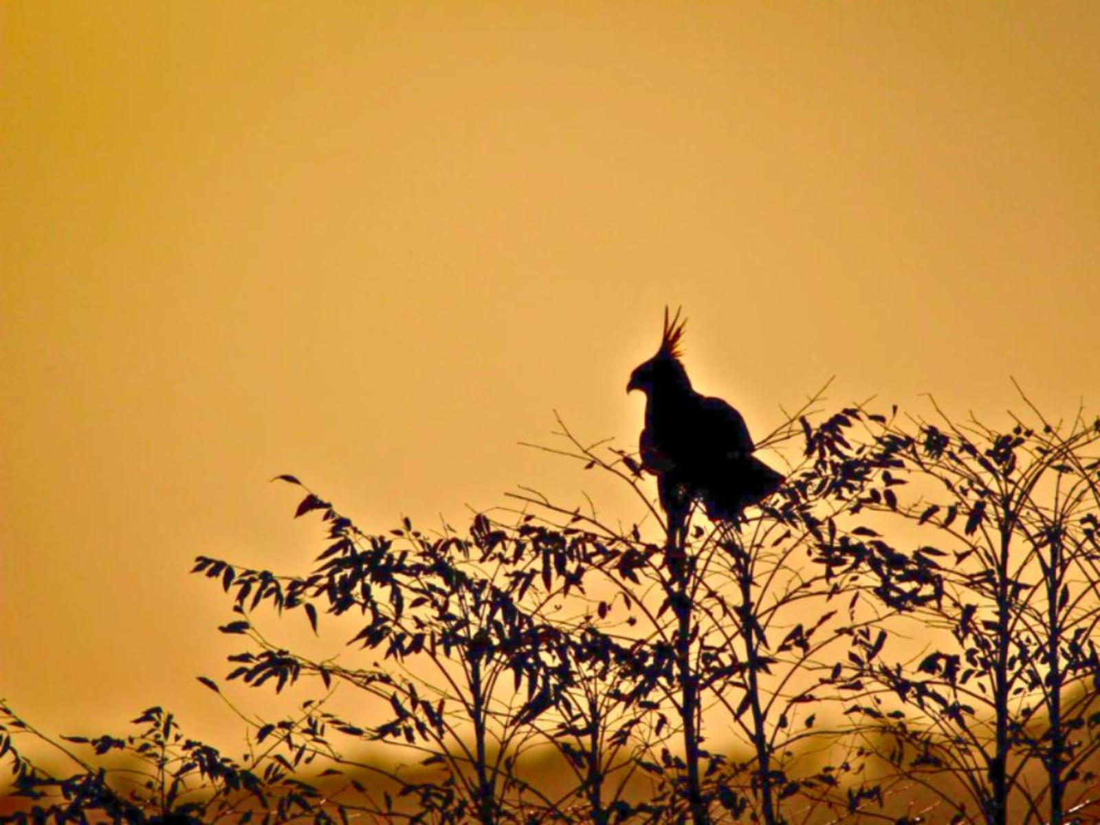 Imbabali Retreat & Venue