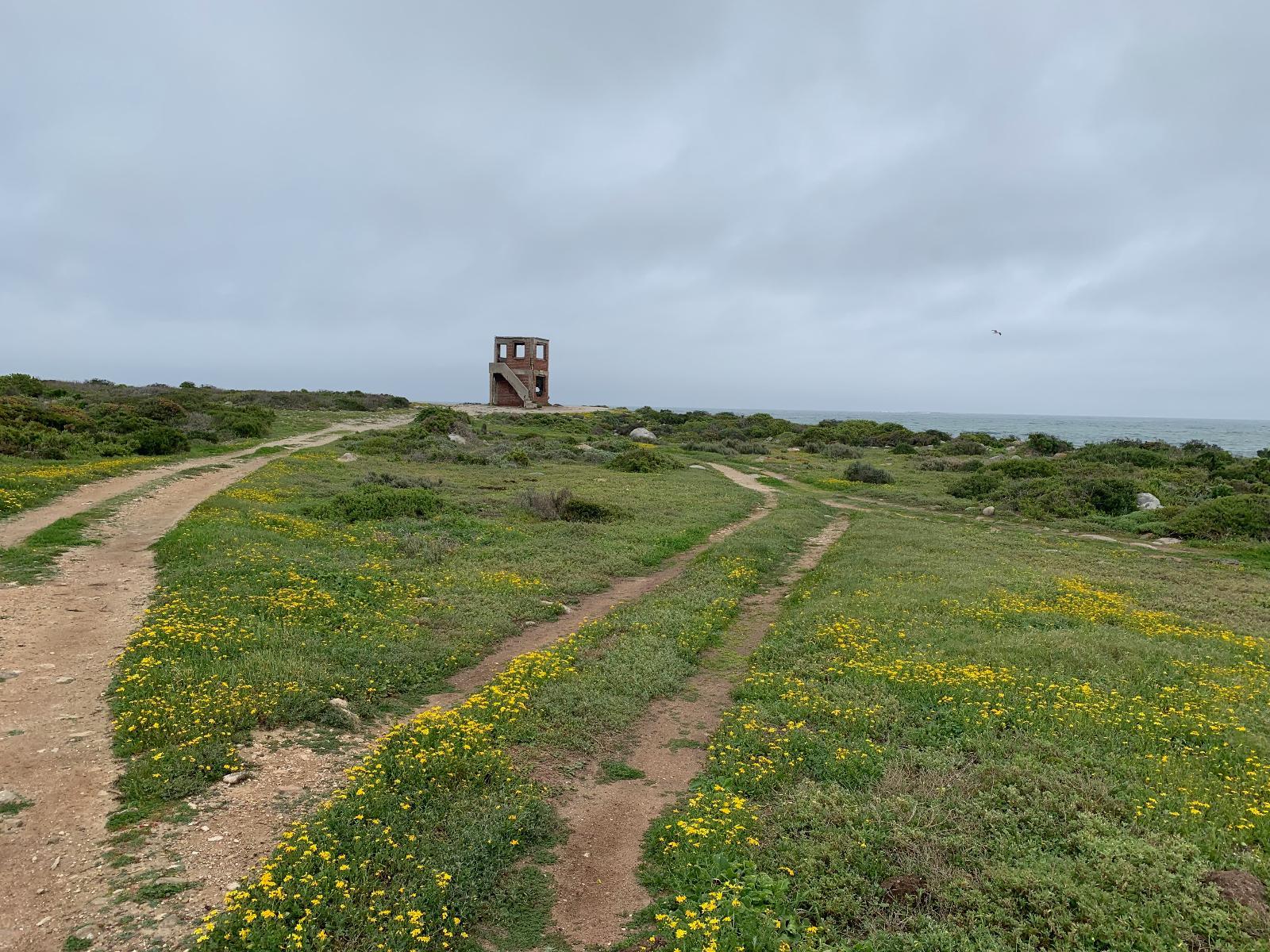 Sea La Vie Jacobsbaai