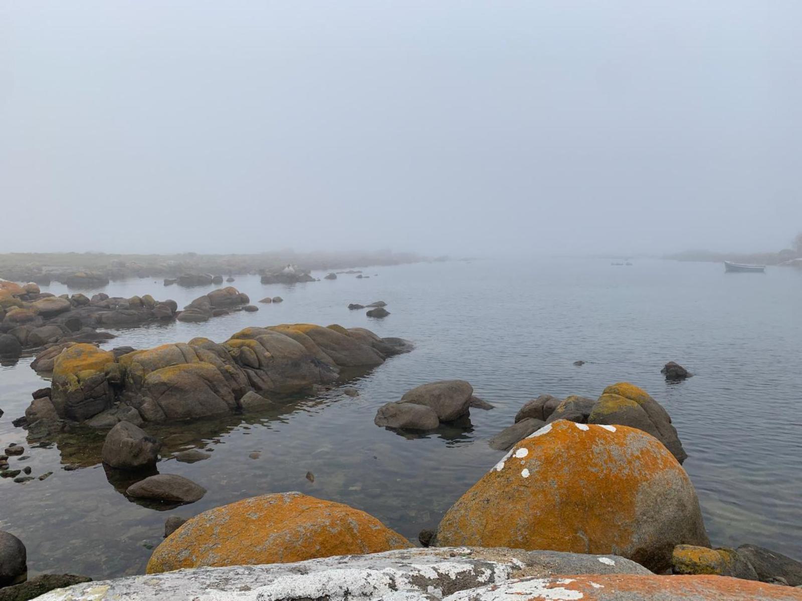 Sea La Vie Jacobsbaai