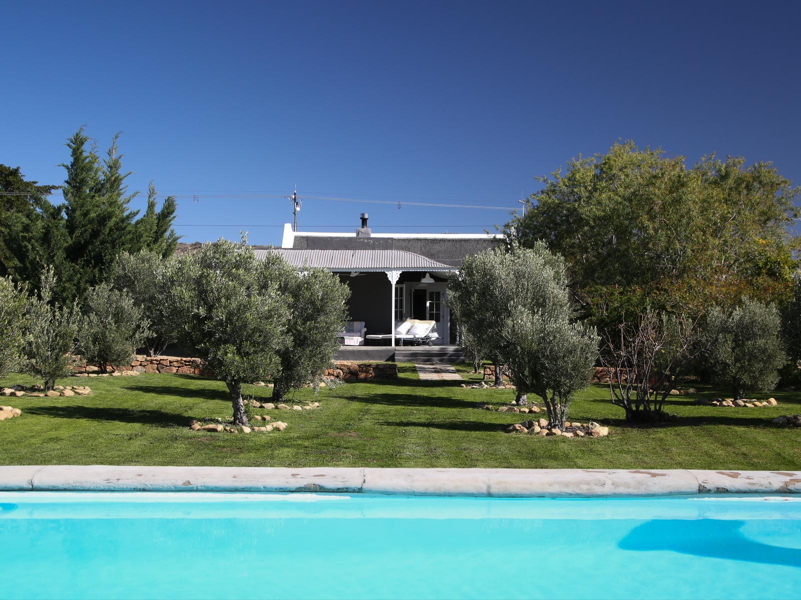 Olive Grove House