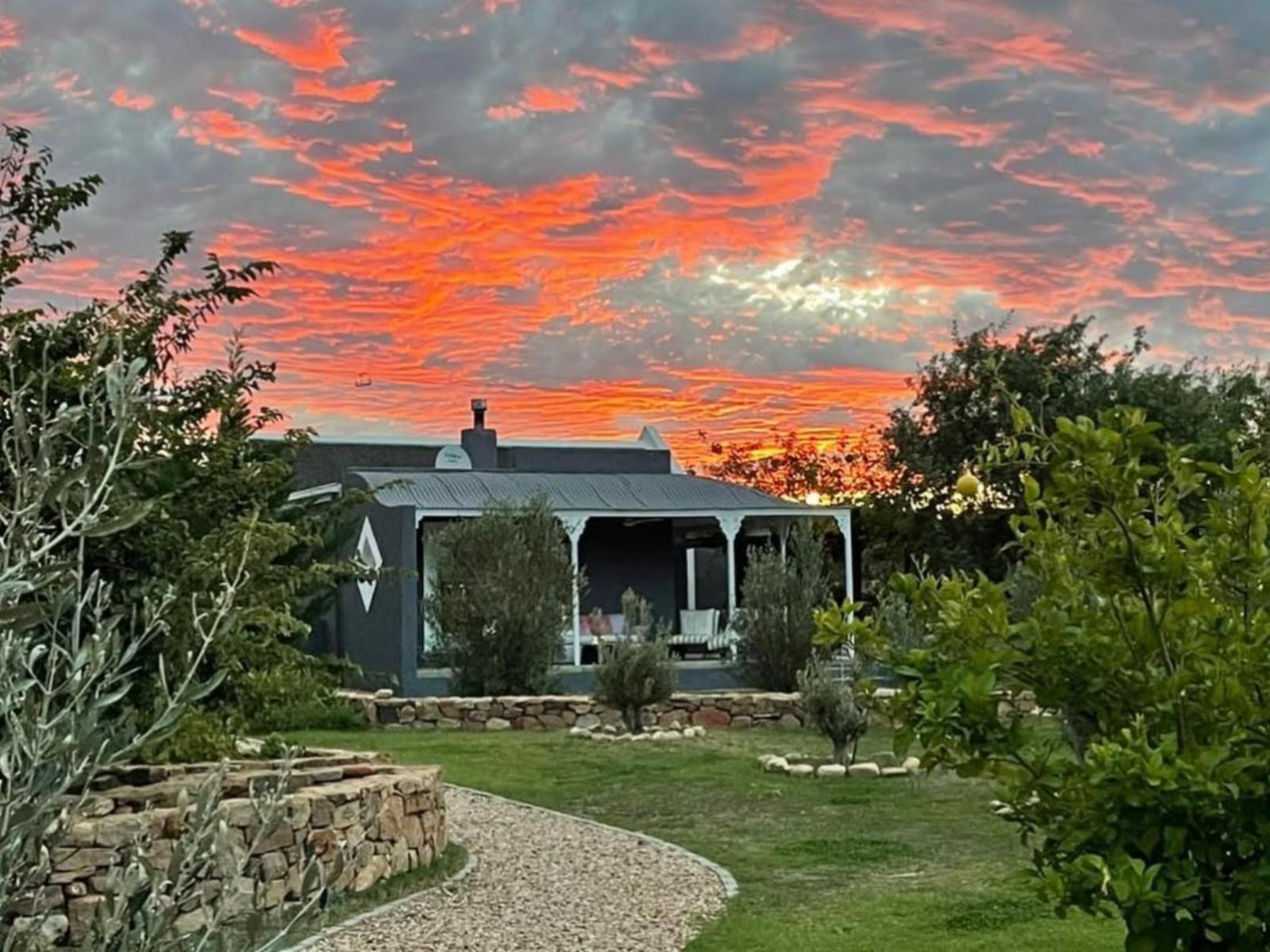 Olive Grove House