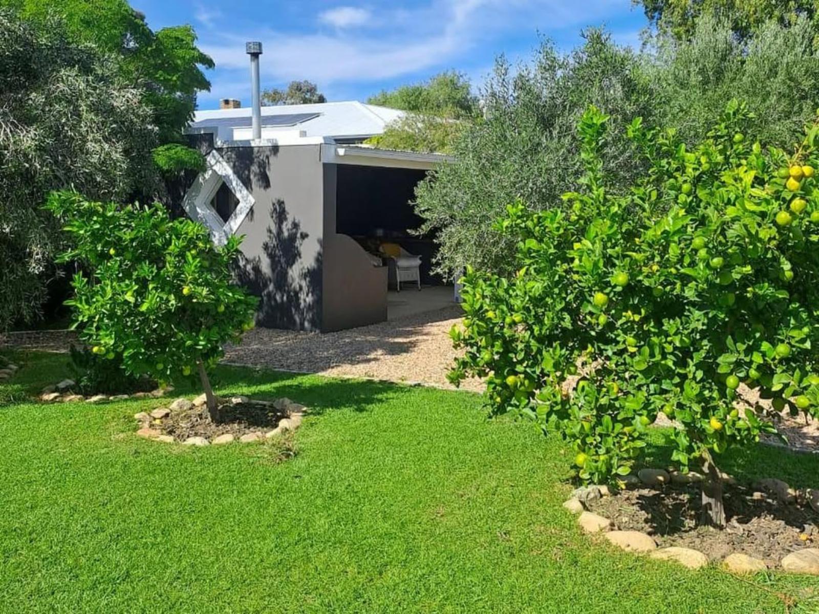 Olive Grove House