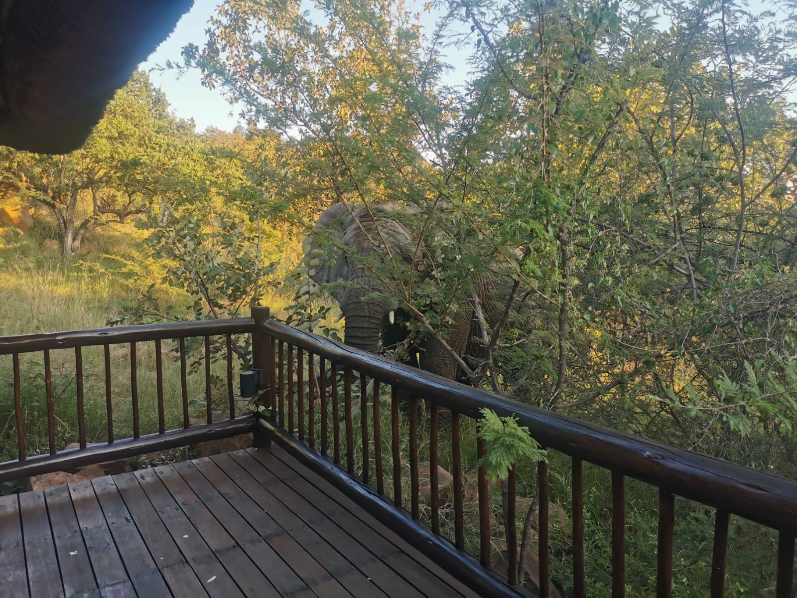 Waddem Bushlodge Accommodation