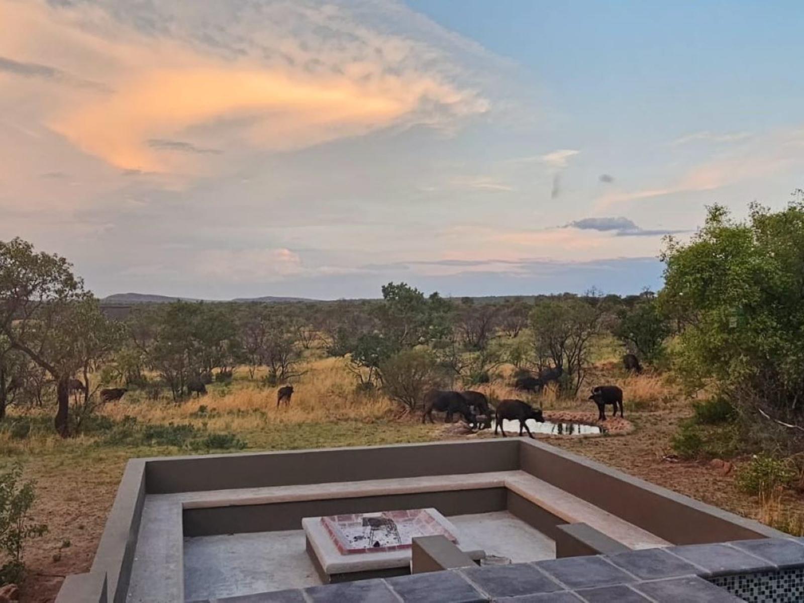 Waddem Bushlodge Accommodation