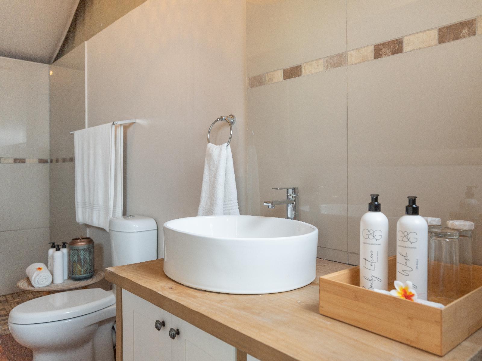 Roomtype 5: Bathroom Emhosheni River Lodge