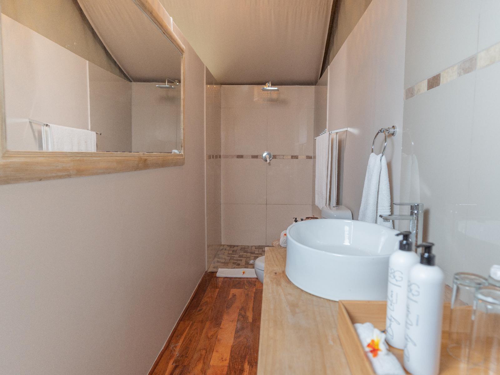 Roomtype 5: Shower Emhosheni River Lodge