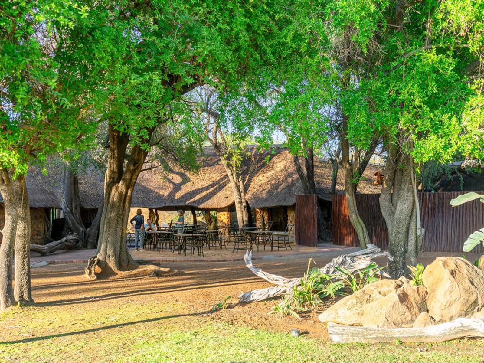 Bonwa Phala Game Lodge Reserve Your Hotel, SelfCatering, or Bed and Breakfast Room Instantly!