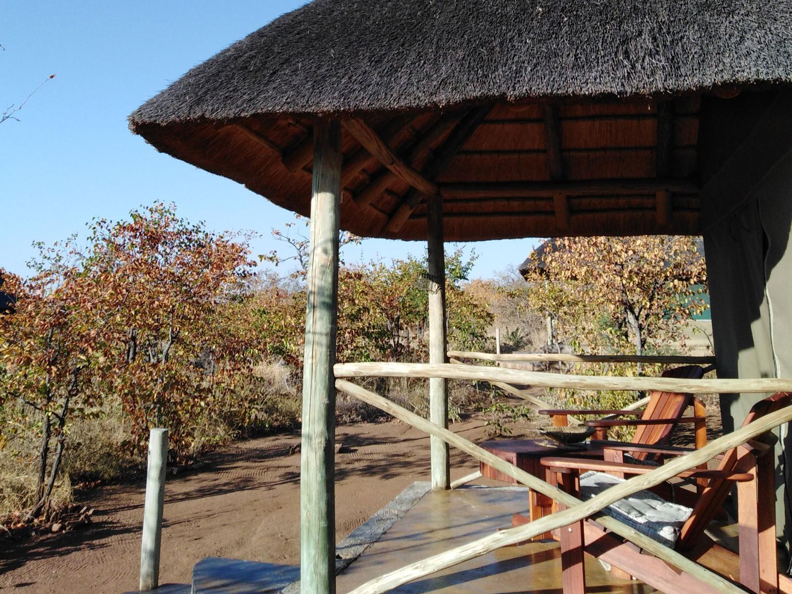 Buffalo Tented Lodge