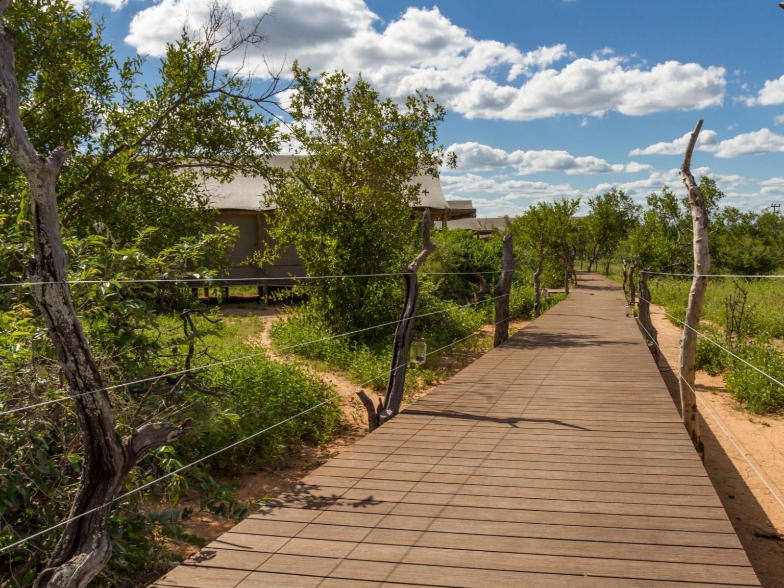Imagine Africa Luxury Tented Camp