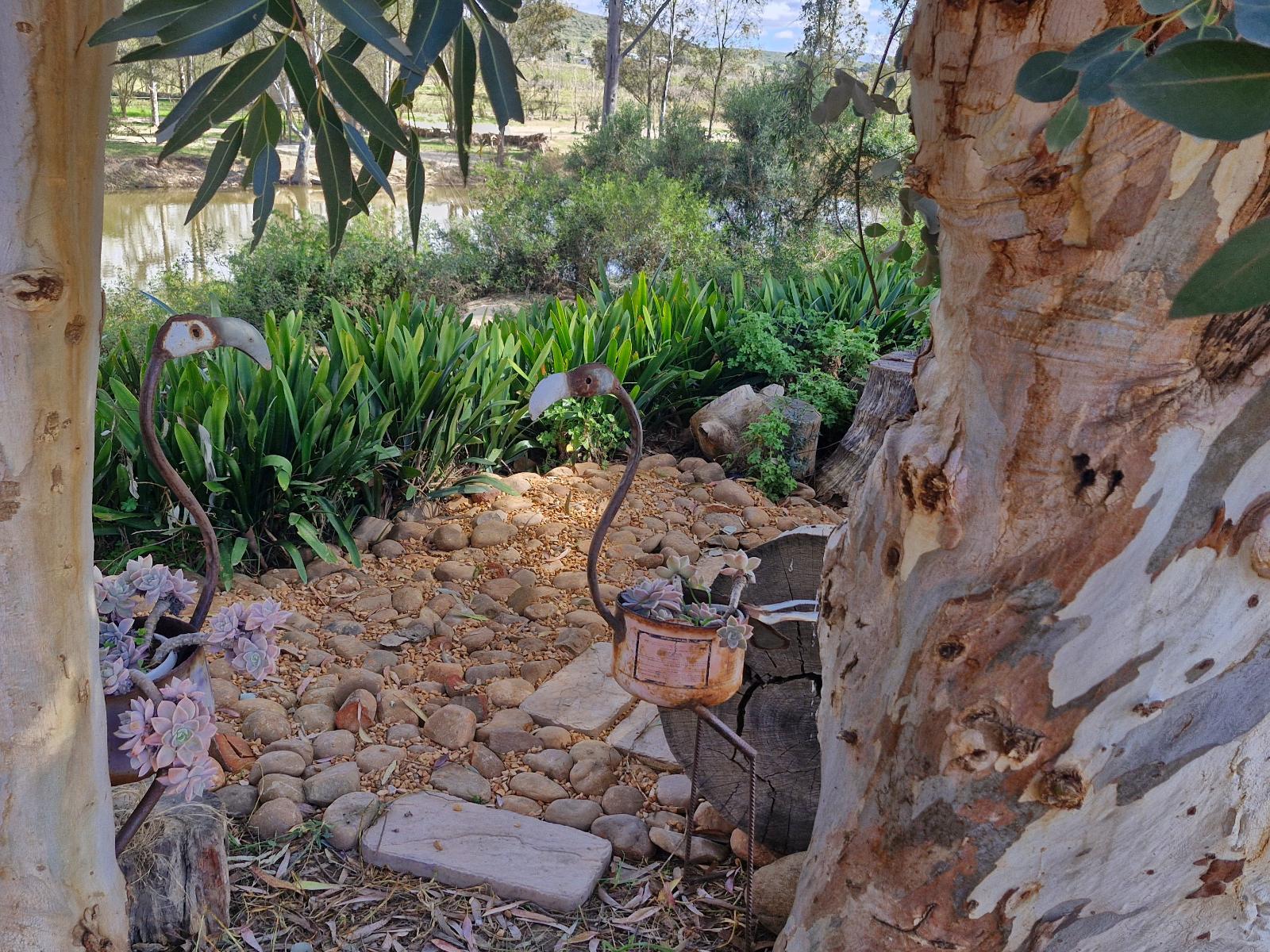 Merwespont River Life Guesthouses & Farm