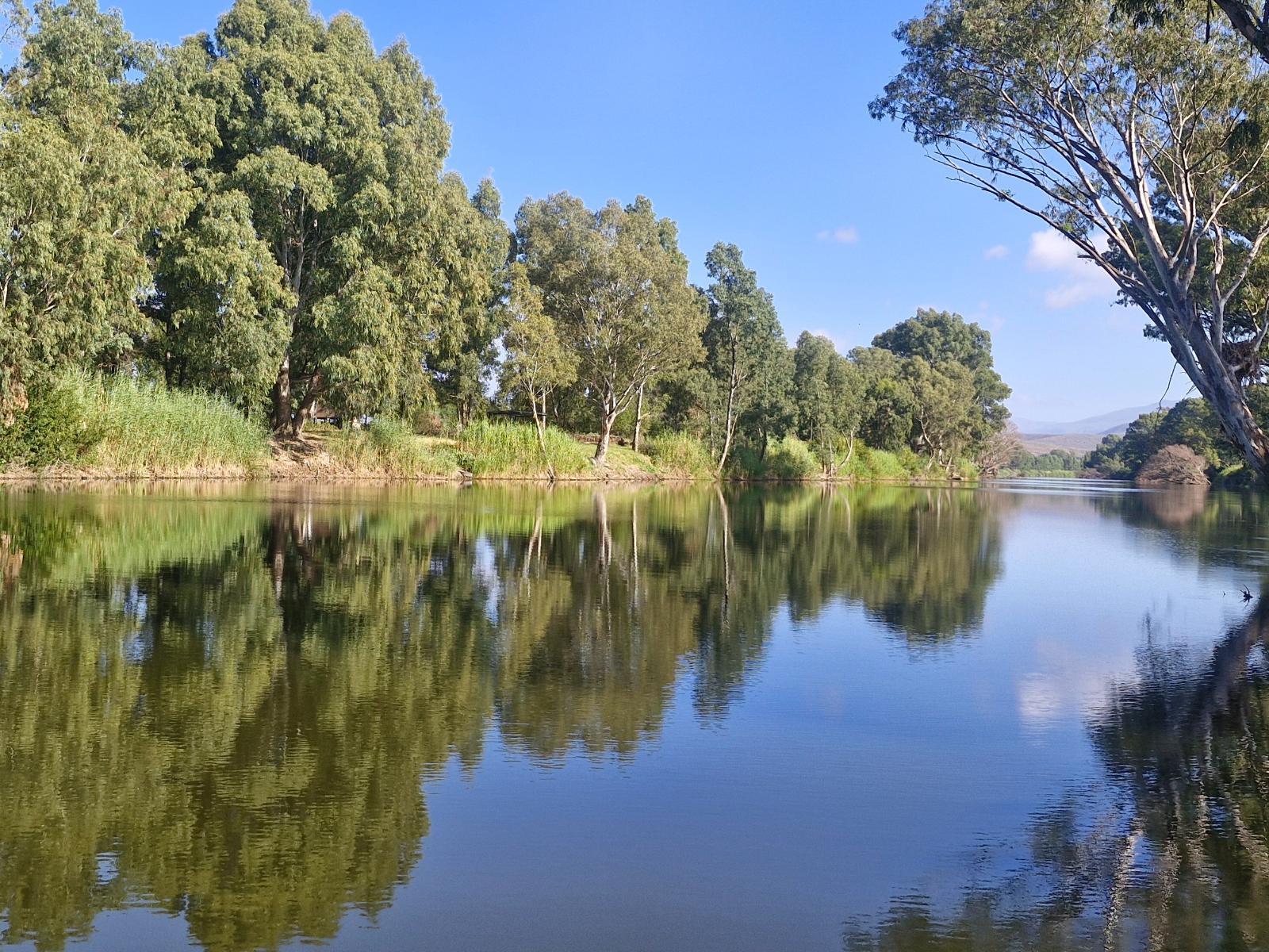 Merwespont River Life Guesthouses & Farm