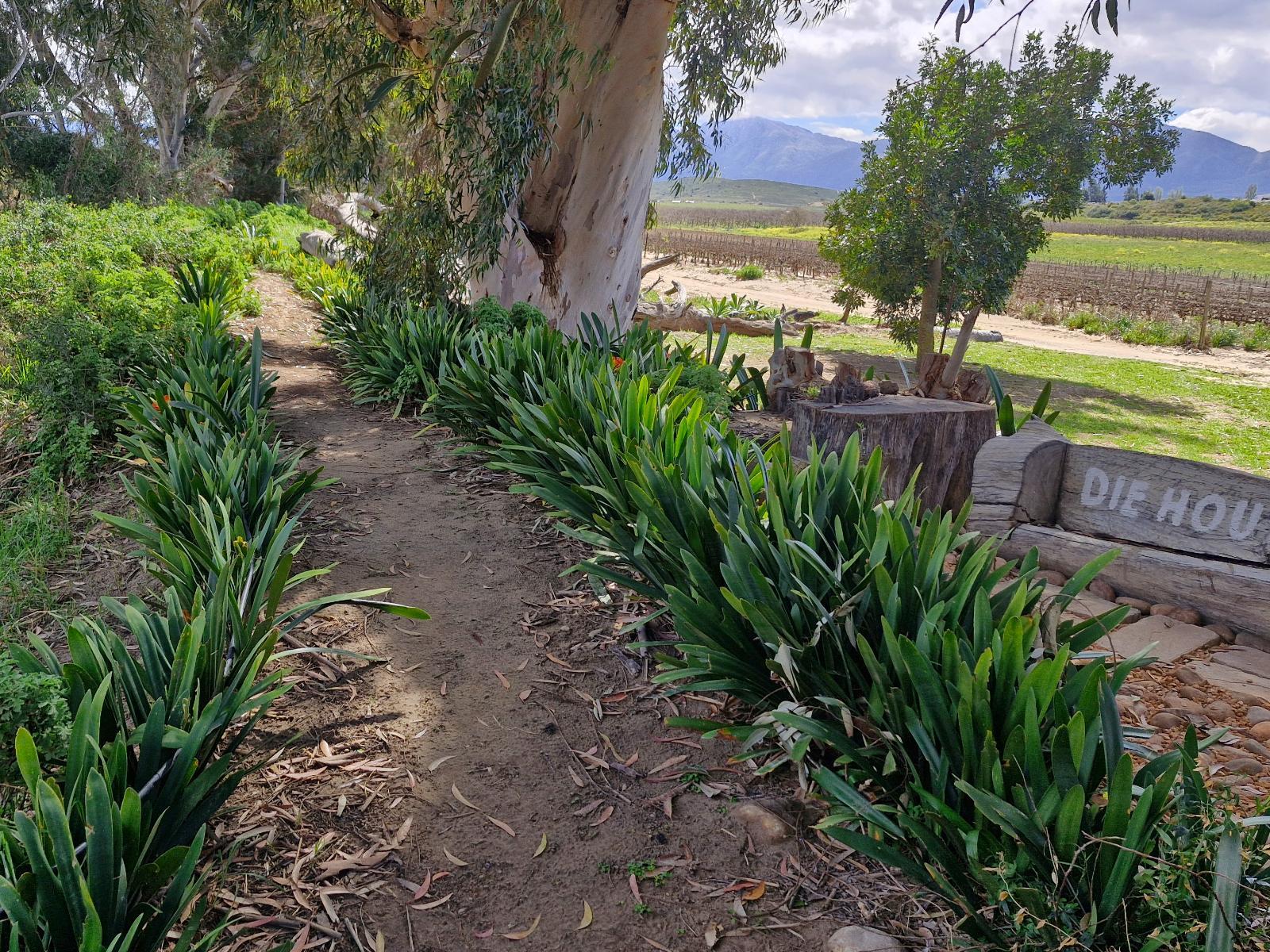 Merwespont River Life Guesthouses & Farm