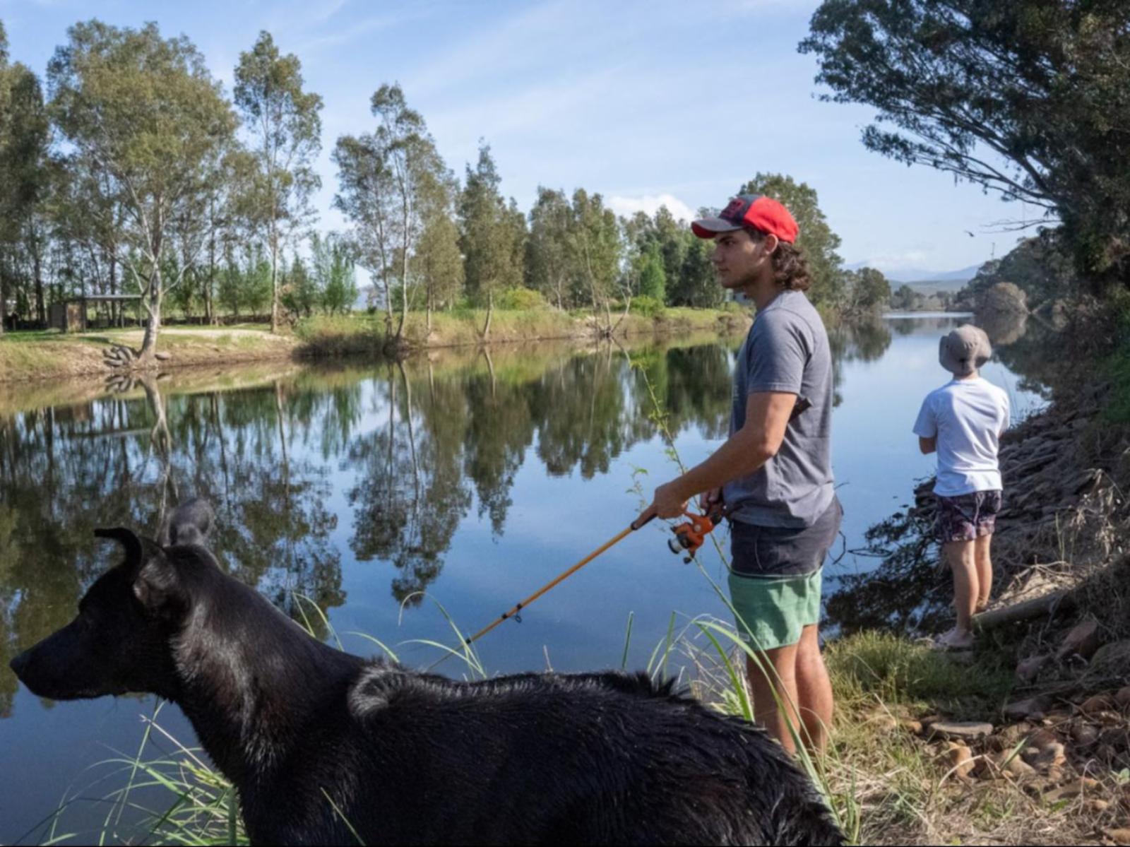 Merwespont River Life Guesthouses & Farm