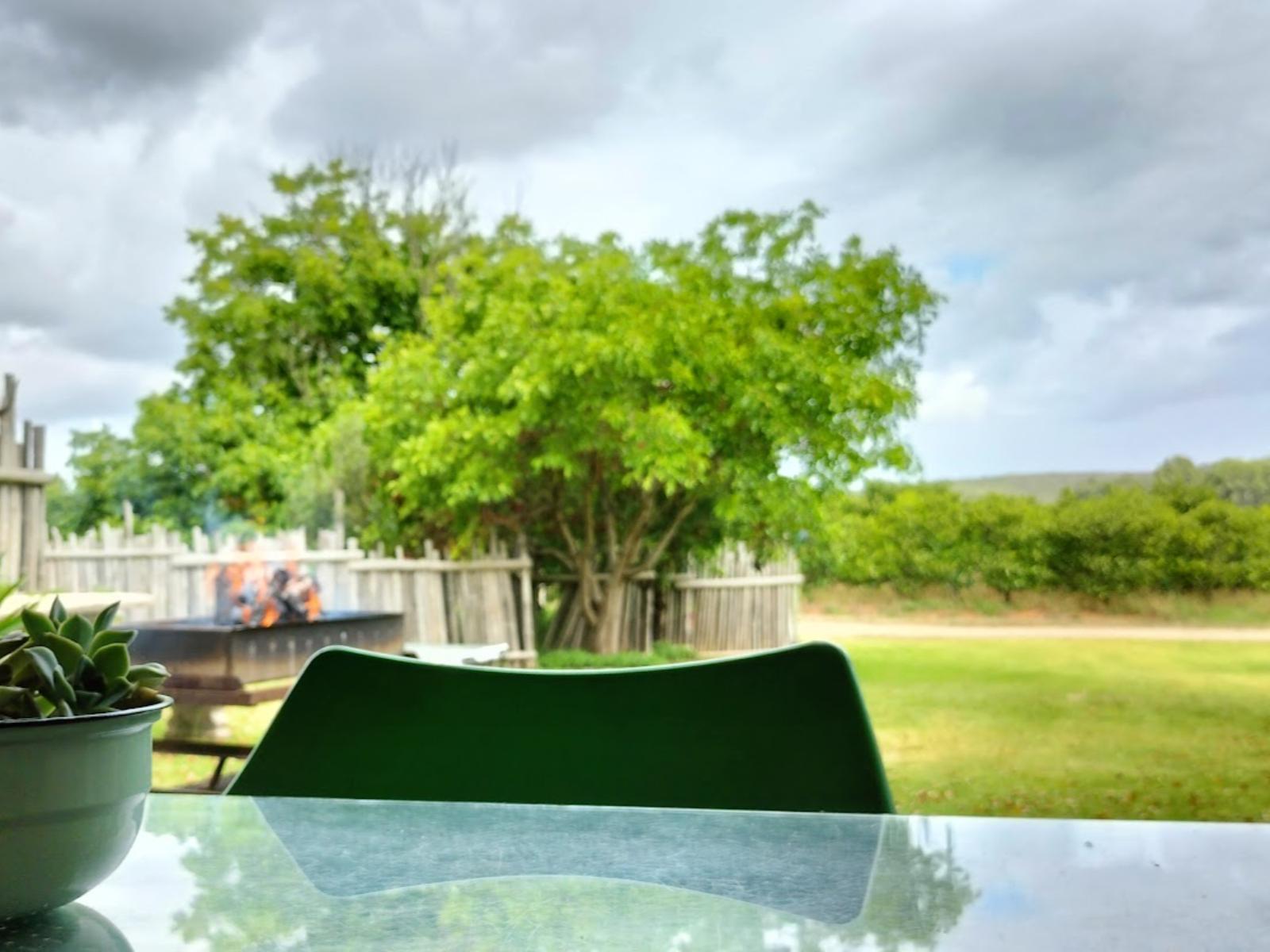 Merwespont River Life Guesthouses & Farm