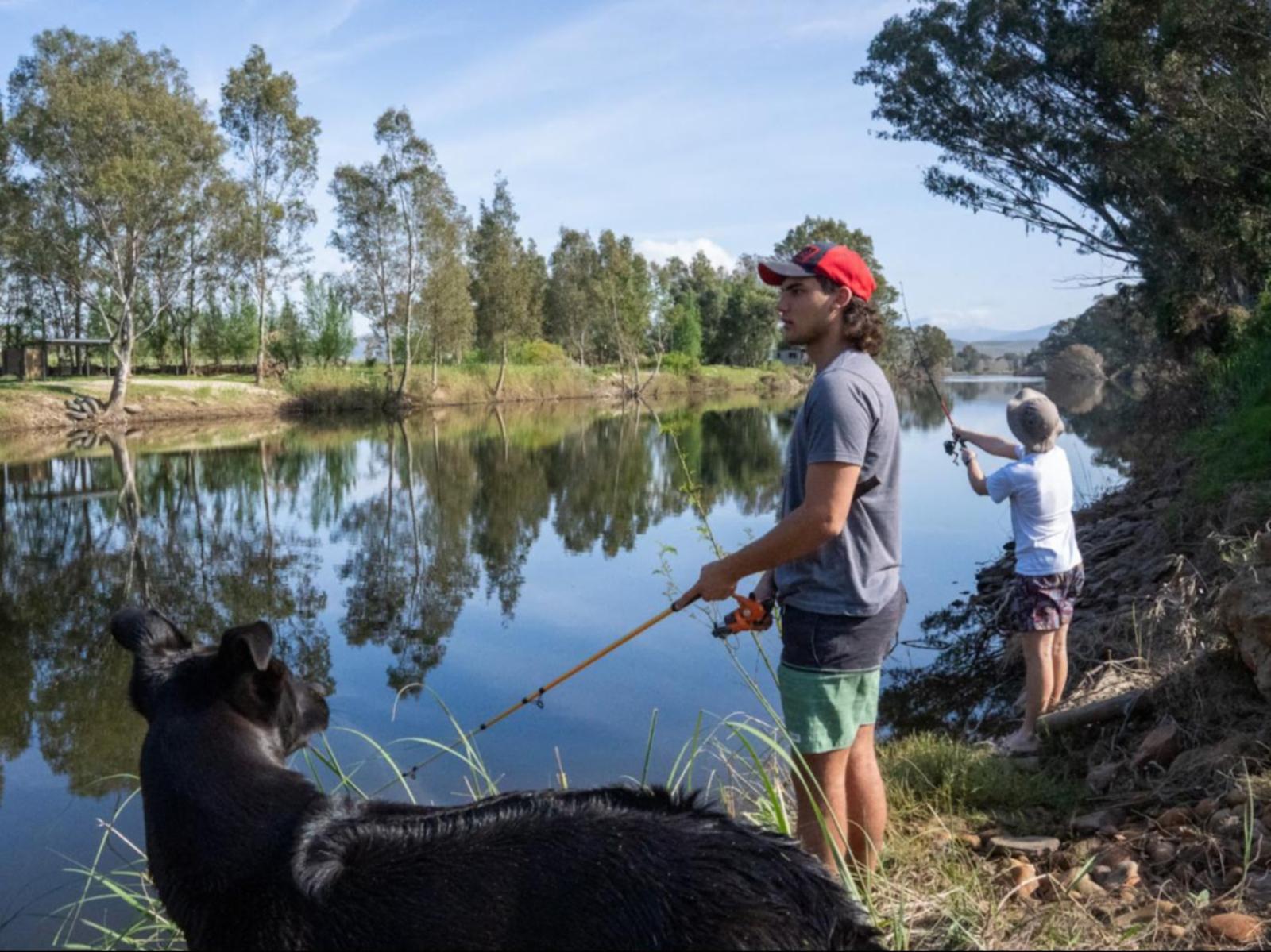 Merwespont River Life Guesthouses & Farm