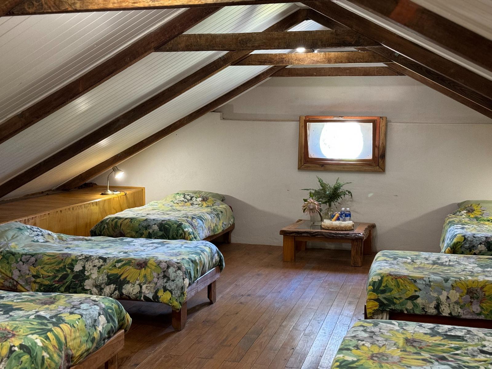 Merwespont River Life Guesthouses & Farm