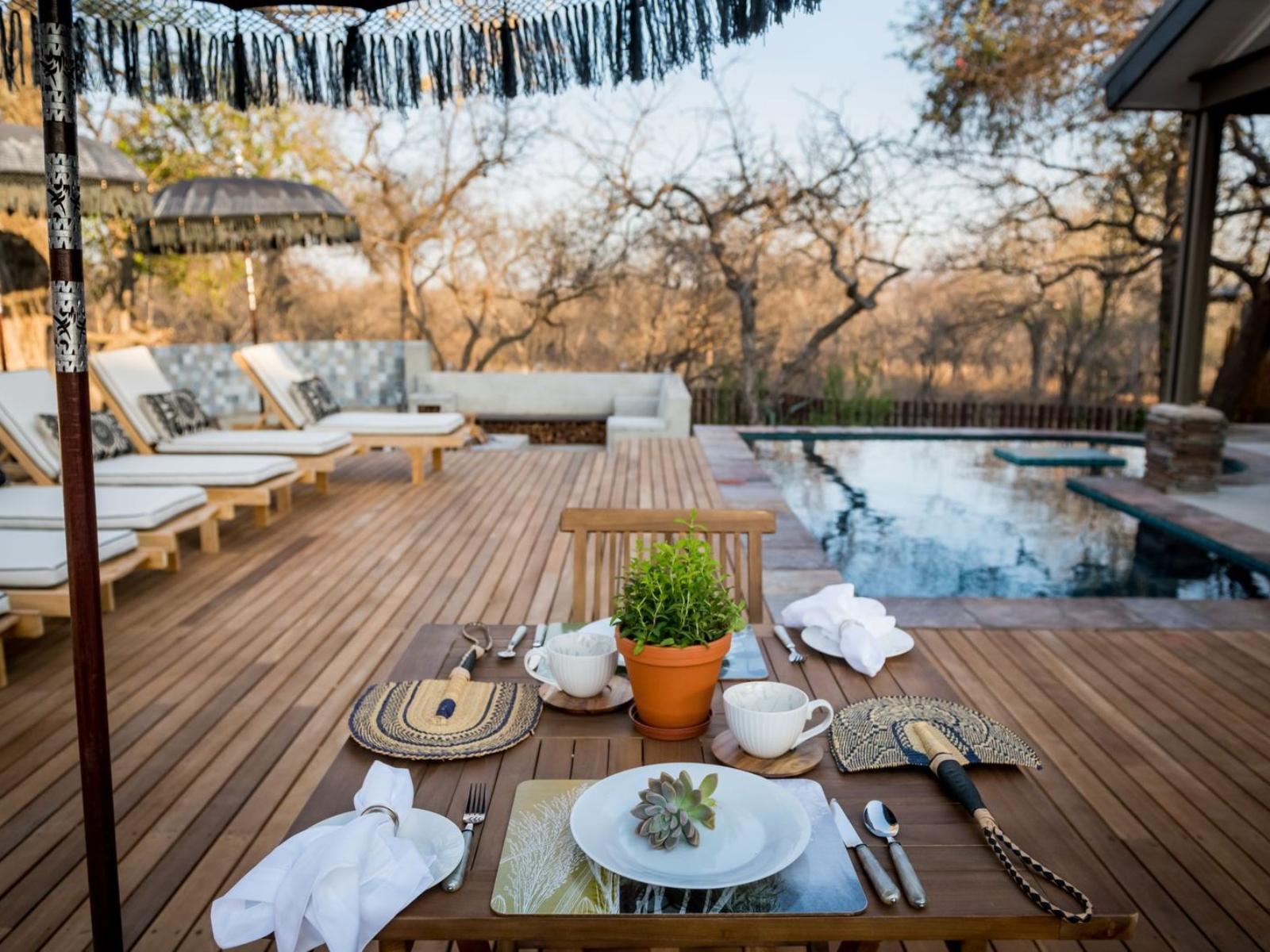 safari moon lodge