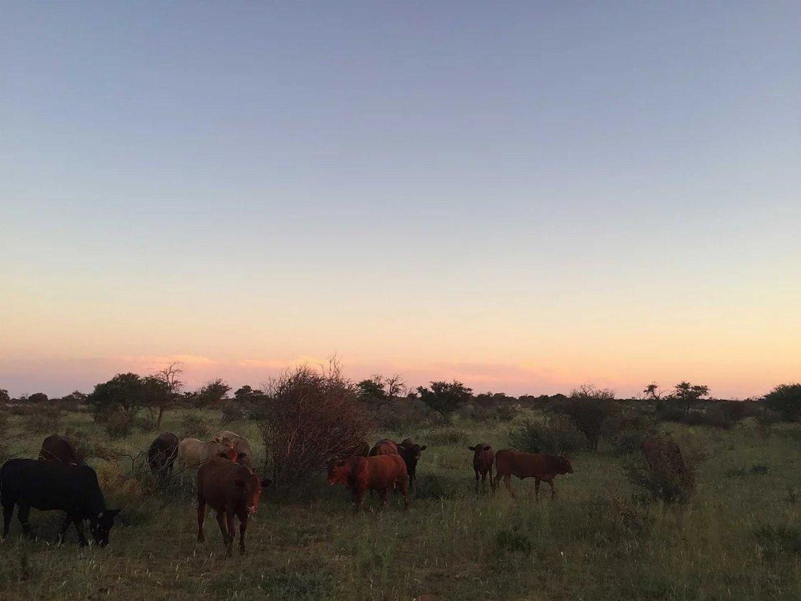 Mecca Guest House Find Your Perfect Lodging, SelfCatering, or Bed