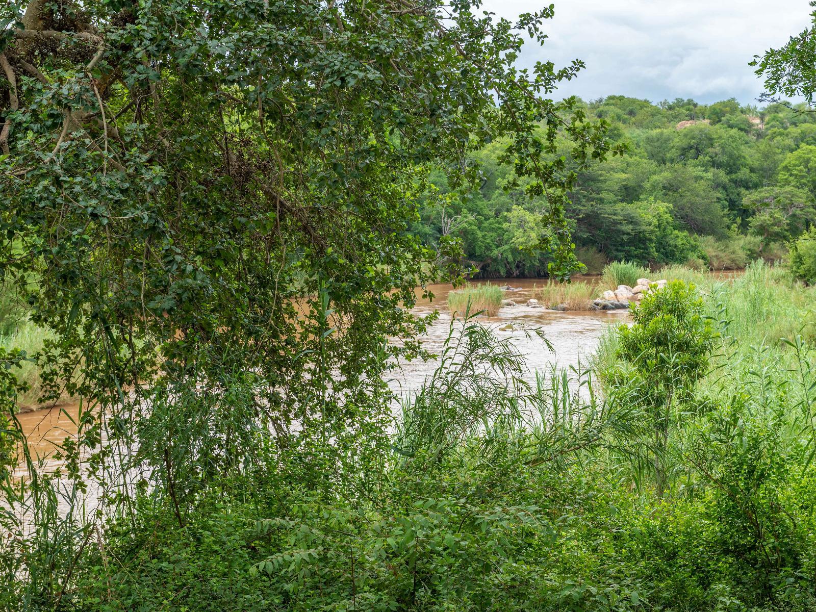Roomtype 7: View (from property/room) Bushriver Lodge