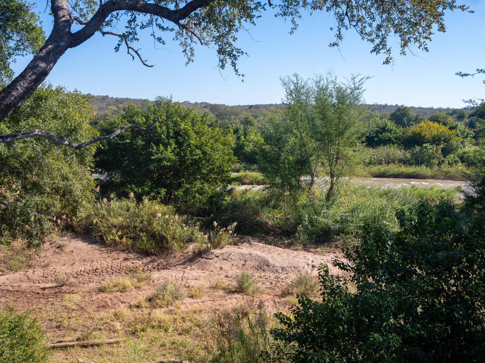 Roomtype 9: View (from property/room) Bushriver Lodge
