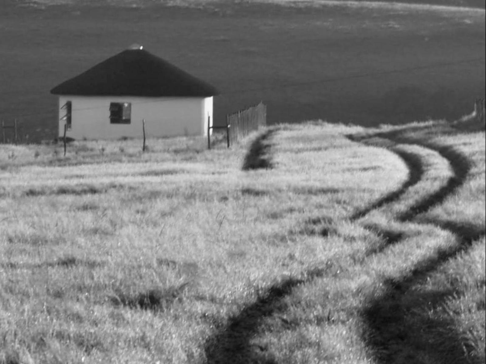 Wild Coast Homestays