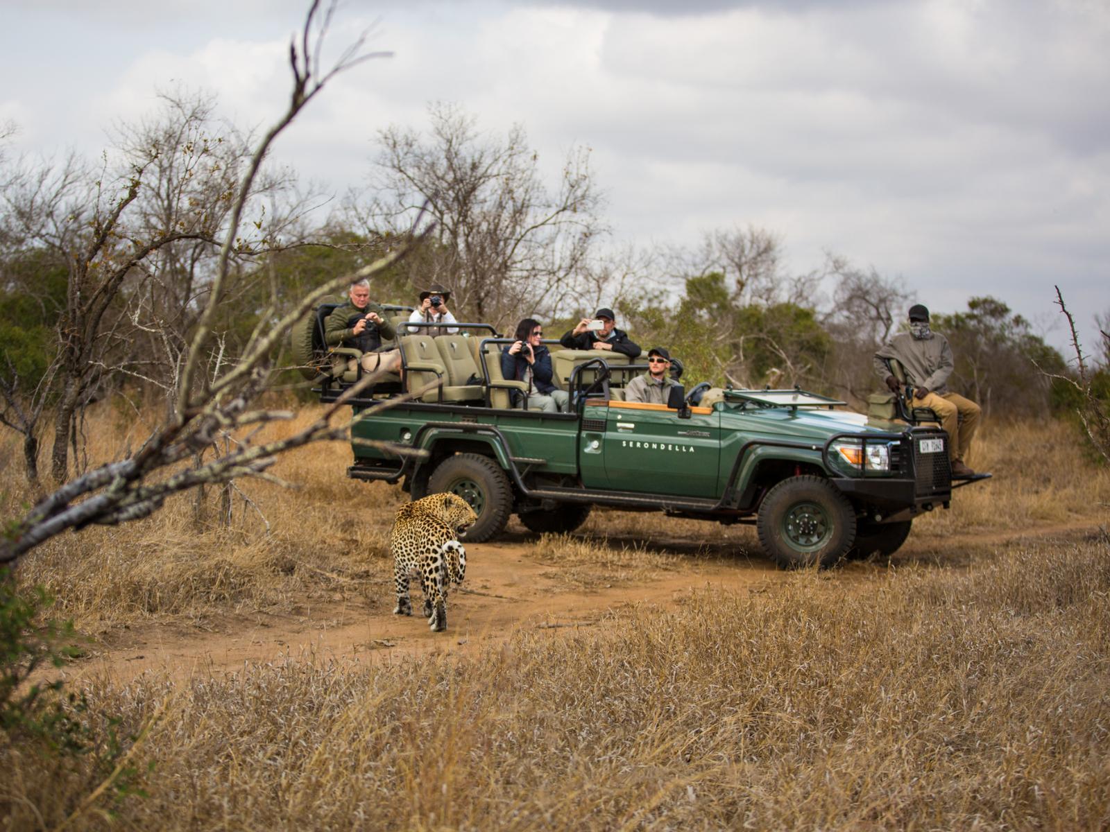 Natural landscape Serondella Safari Lodge