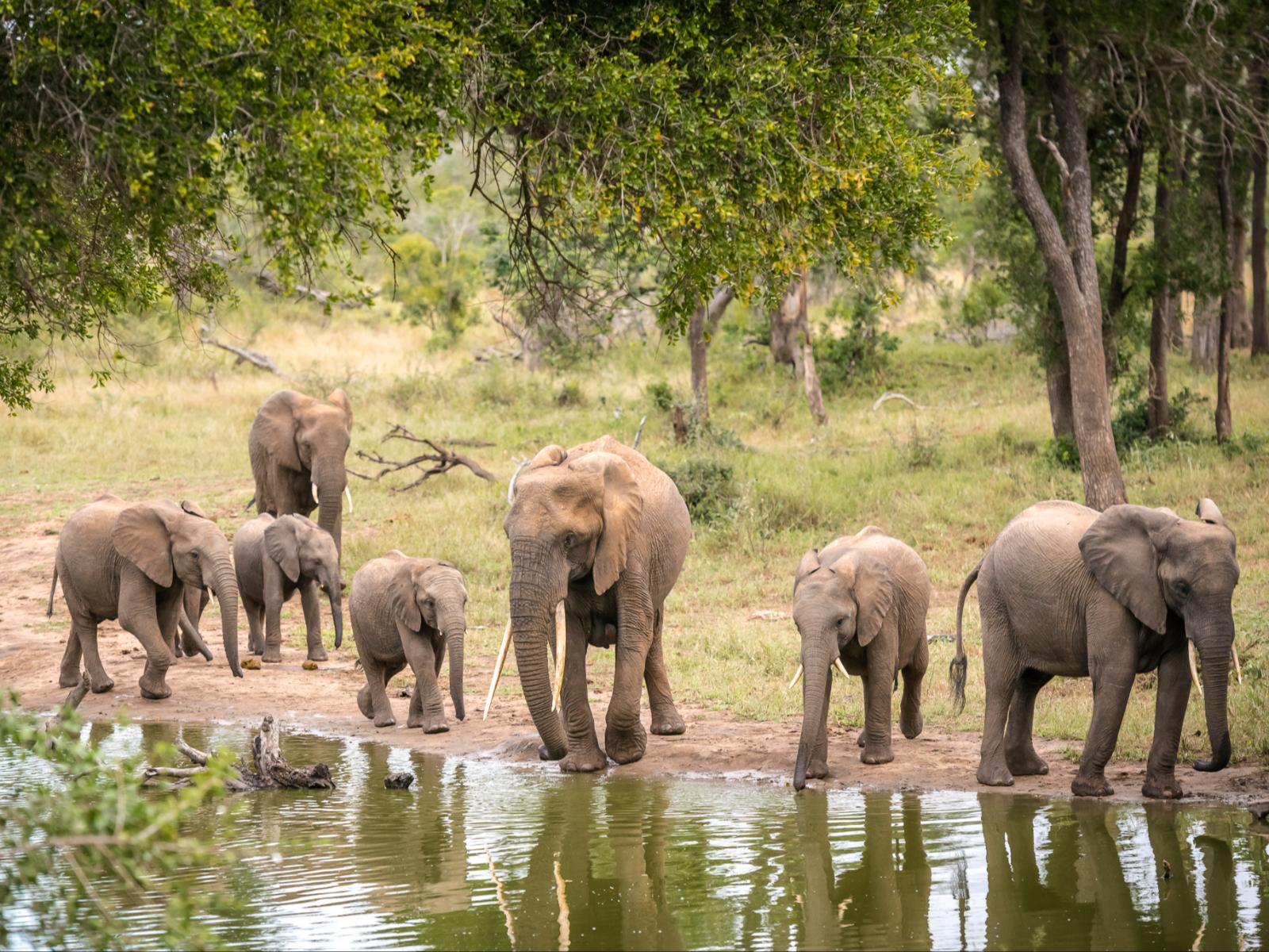 Natural landscape Serondella Safari Lodge