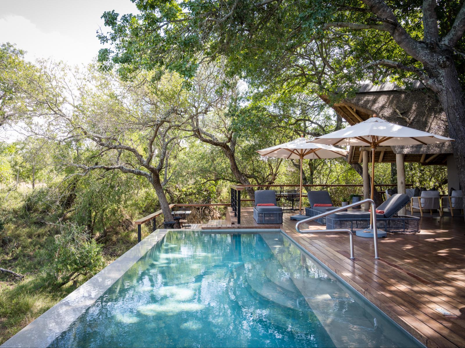 Swimming pool Serondella Safari Lodge