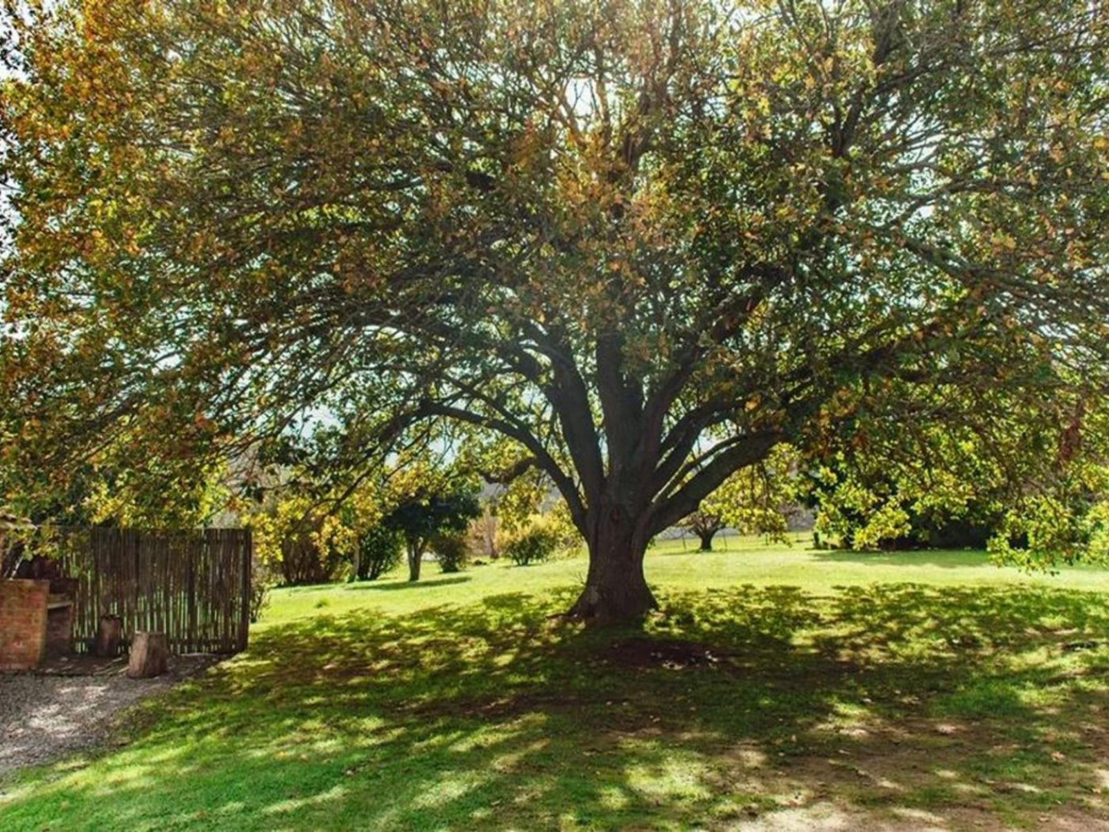 Bluebell Farm Cottages