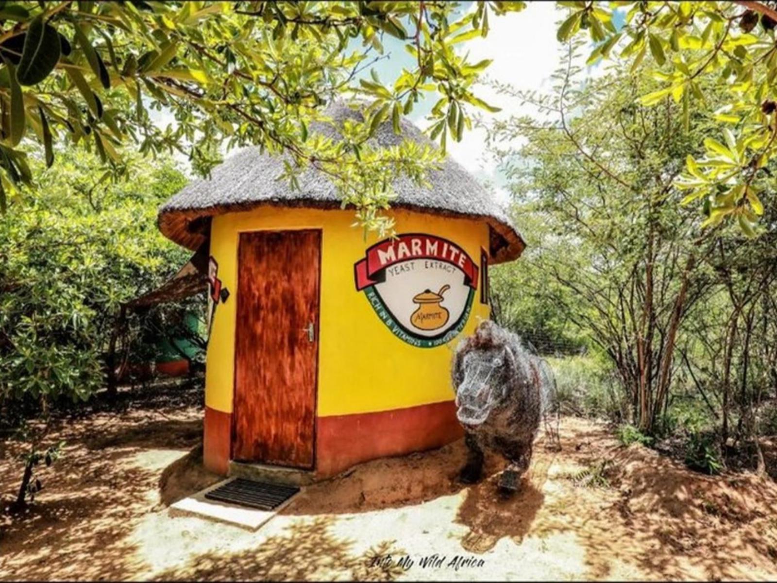 Traditional Huts